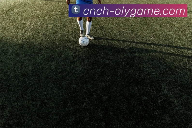 奥林匹斯之门试玩服务体系